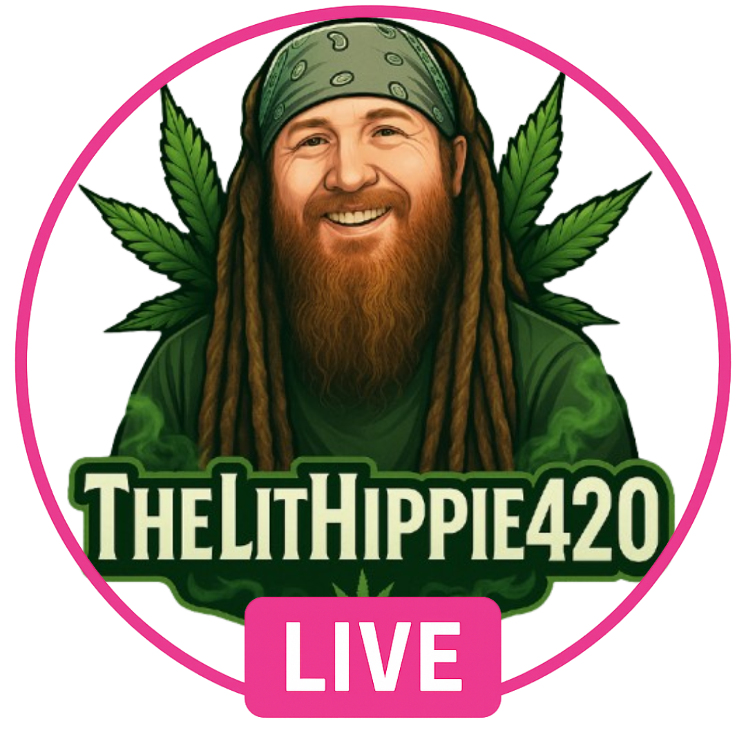 TheLitHippie42o